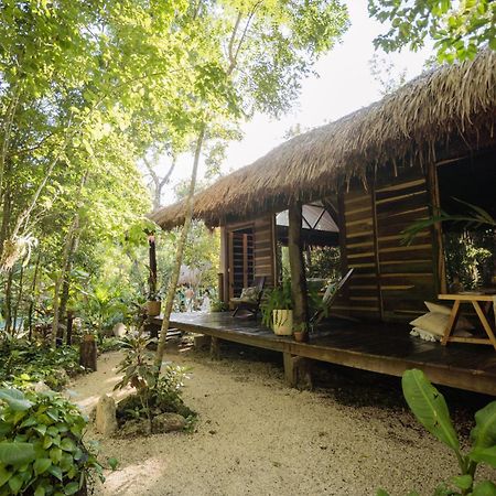 Madre Tierra Eco Habitat ξενώνας Puerto Morelos Εξωτερικό φωτογραφία
