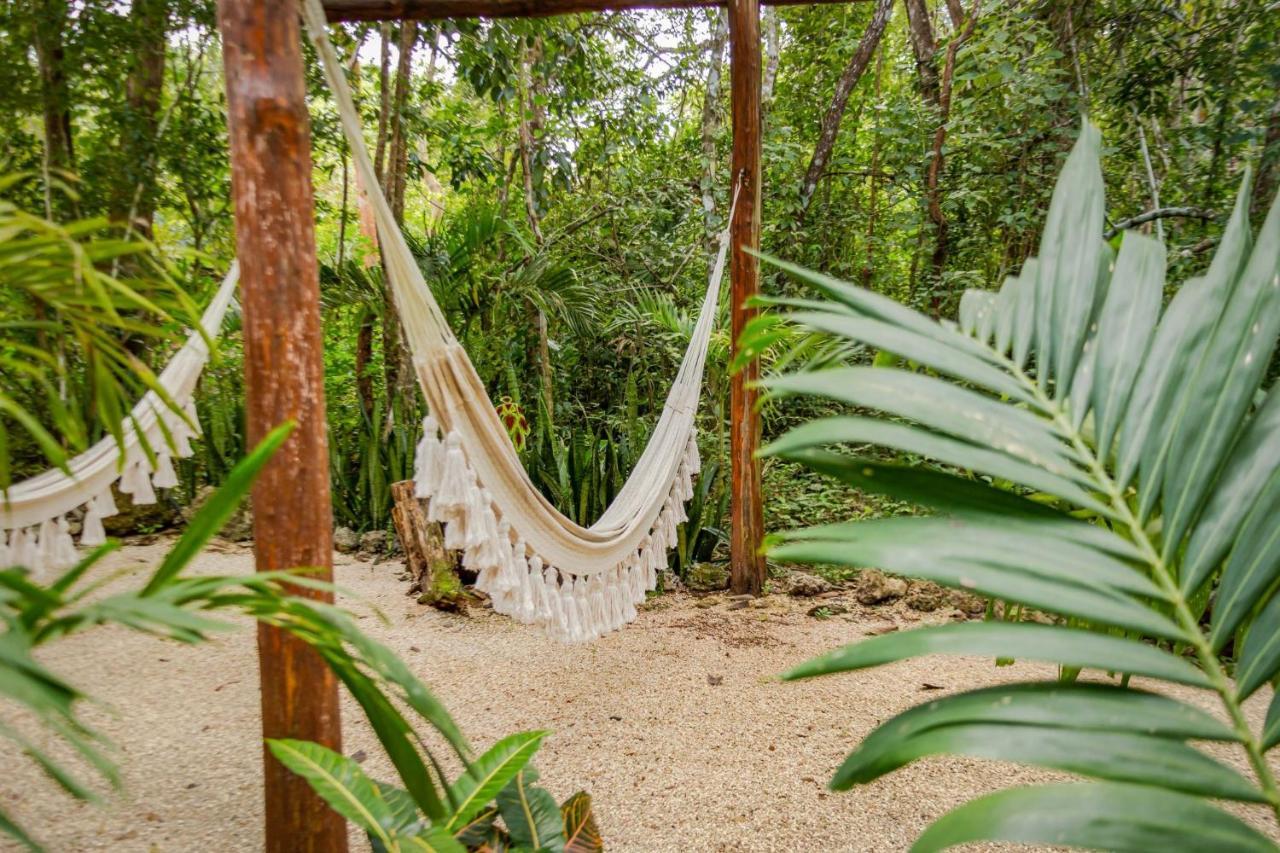 Madre Tierra Eco Habitat ξενώνας Puerto Morelos Εξωτερικό φωτογραφία