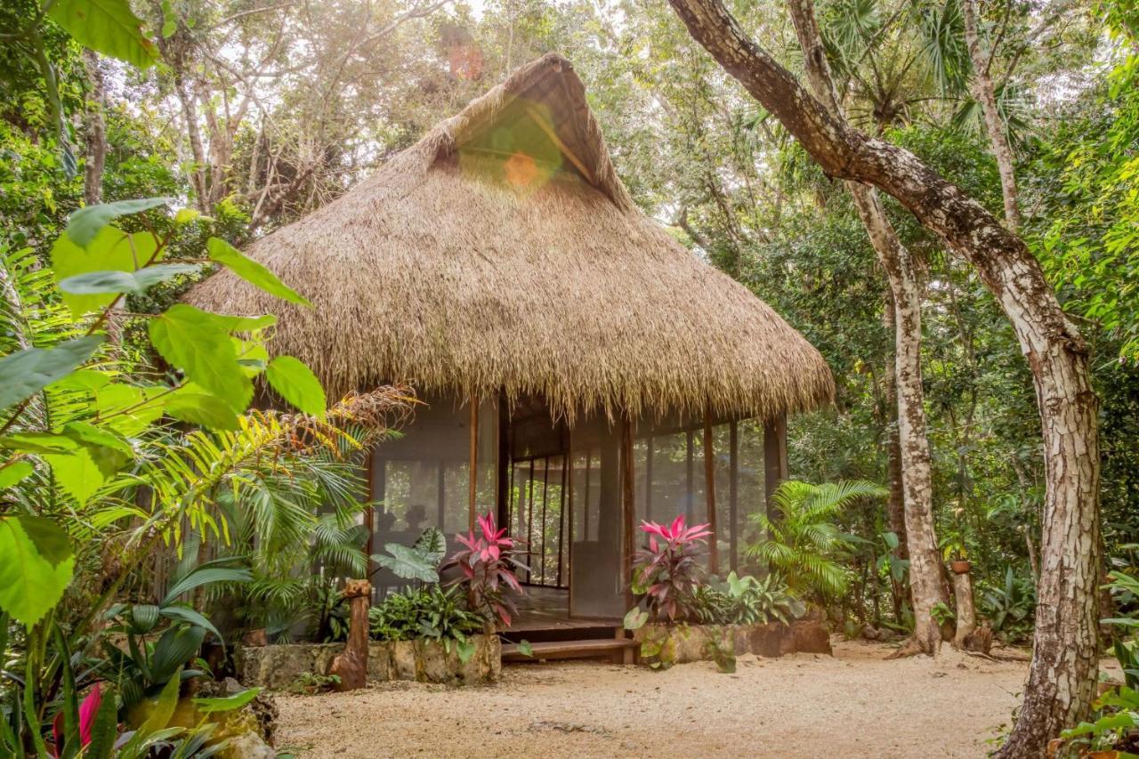 Madre Tierra Eco Habitat ξενώνας Puerto Morelos Εξωτερικό φωτογραφία
