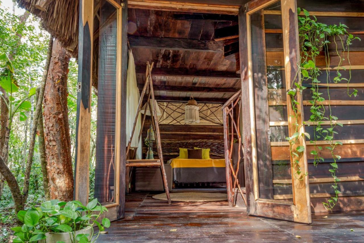Madre Tierra Eco Habitat ξενώνας Puerto Morelos Εξωτερικό φωτογραφία