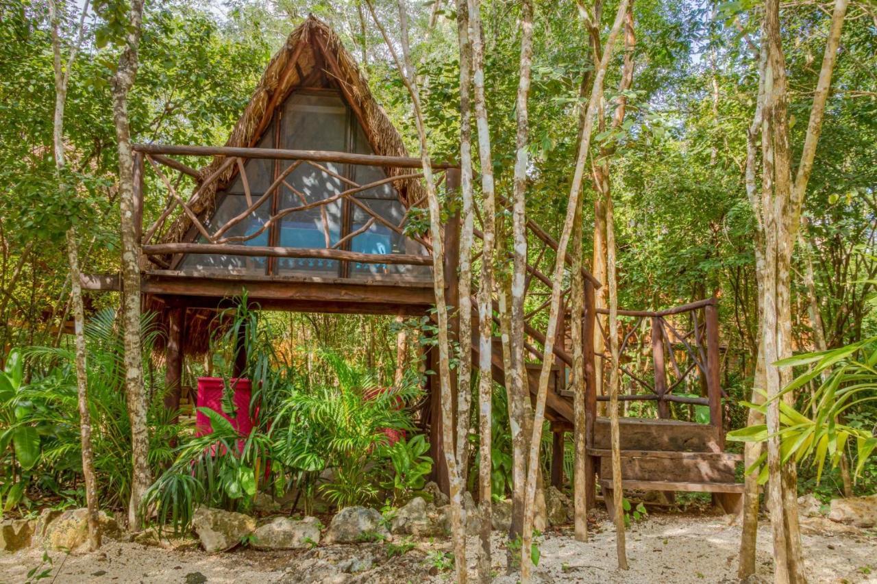 Madre Tierra Eco Habitat ξενώνας Puerto Morelos Εξωτερικό φωτογραφία