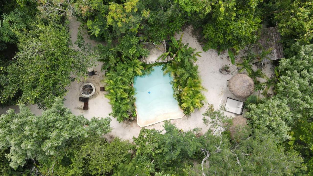 Madre Tierra Eco Habitat ξενώνας Puerto Morelos Εξωτερικό φωτογραφία
