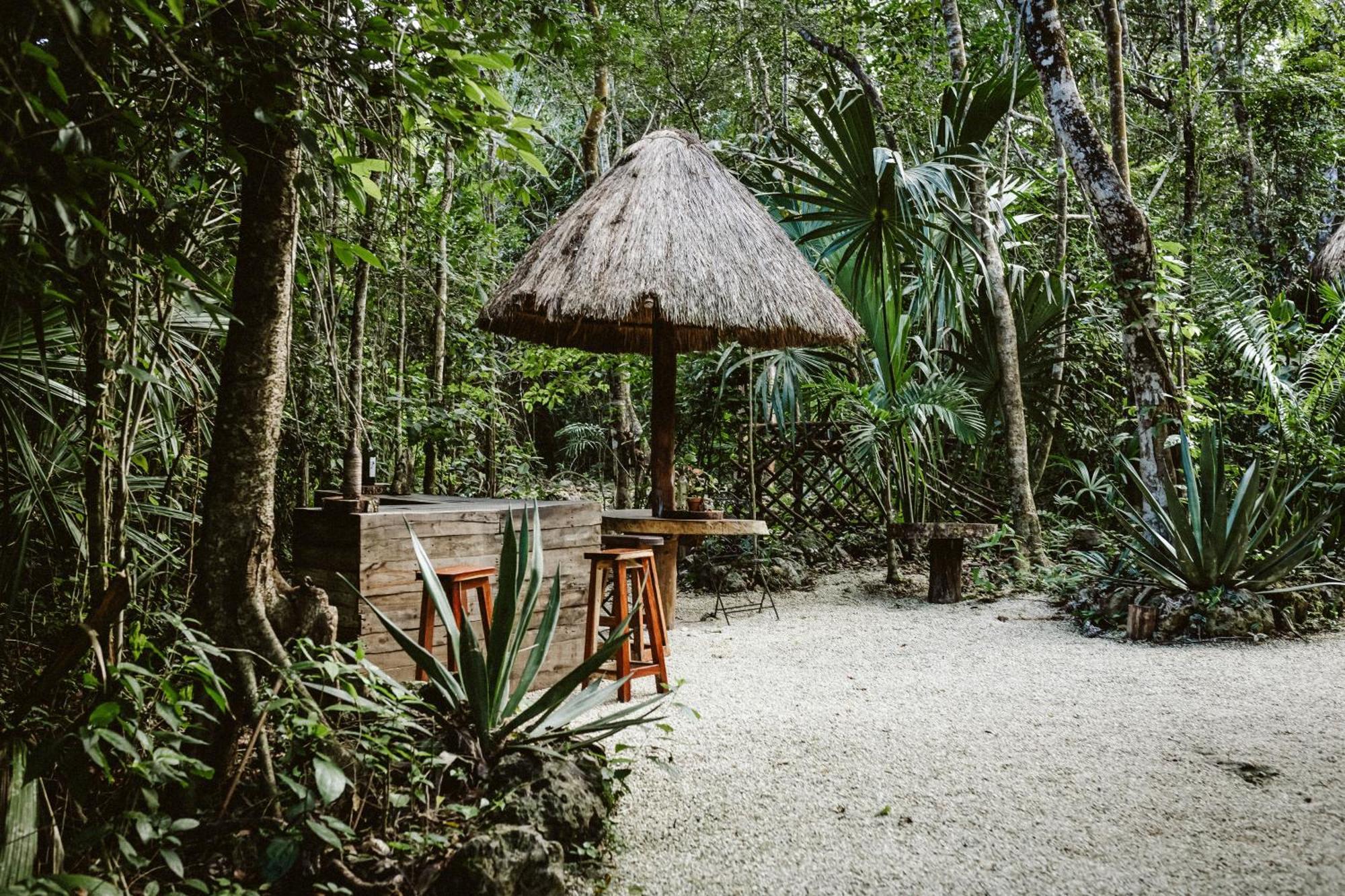 Madre Tierra Eco Habitat ξενώνας Puerto Morelos Εξωτερικό φωτογραφία