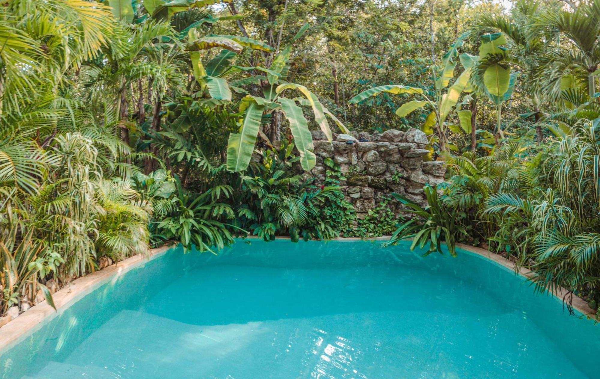 Madre Tierra Eco Habitat ξενώνας Puerto Morelos Εξωτερικό φωτογραφία
